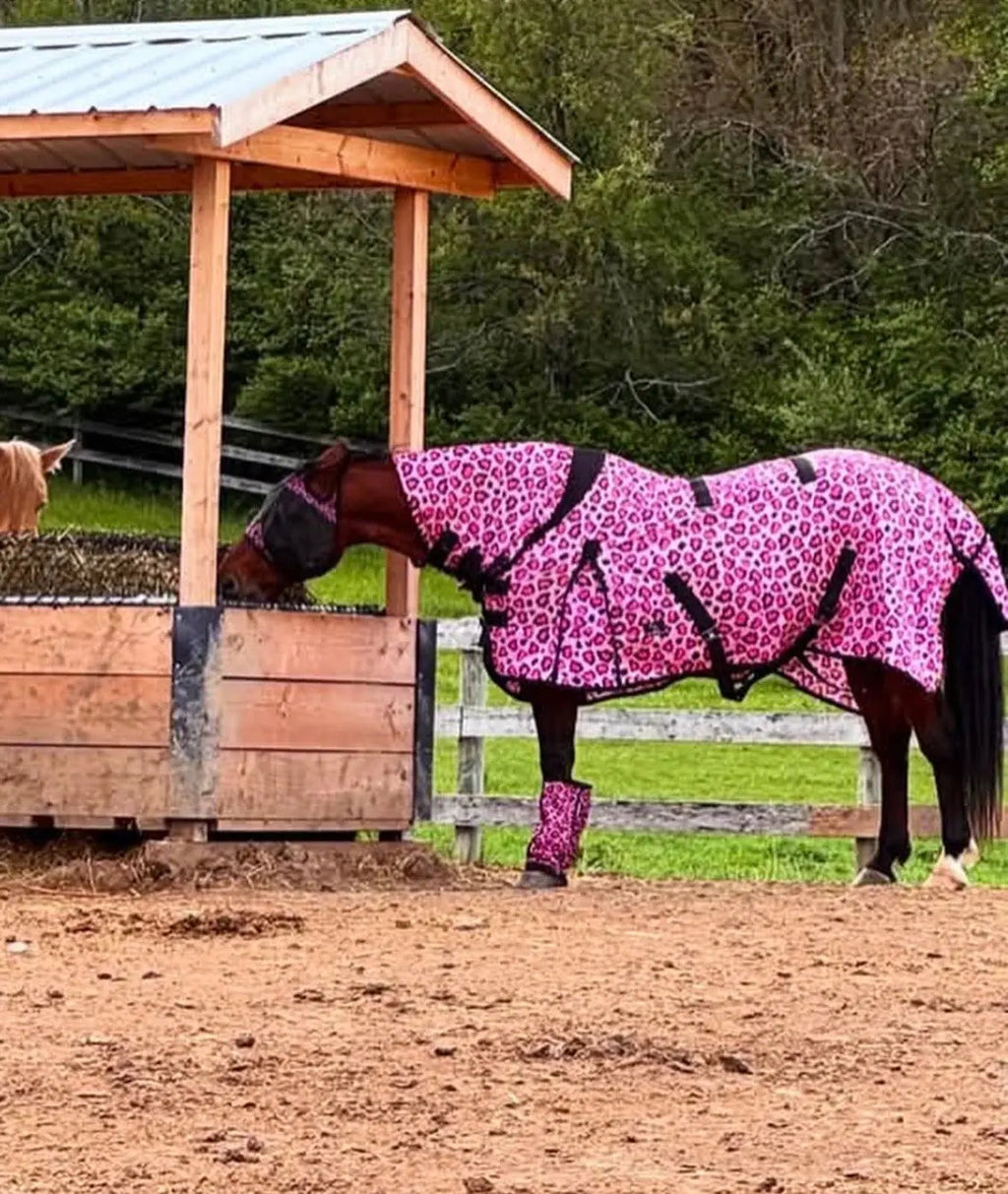 Catty Cowgirl Mid-Weight Fly Sheet with Attached Neck Cover