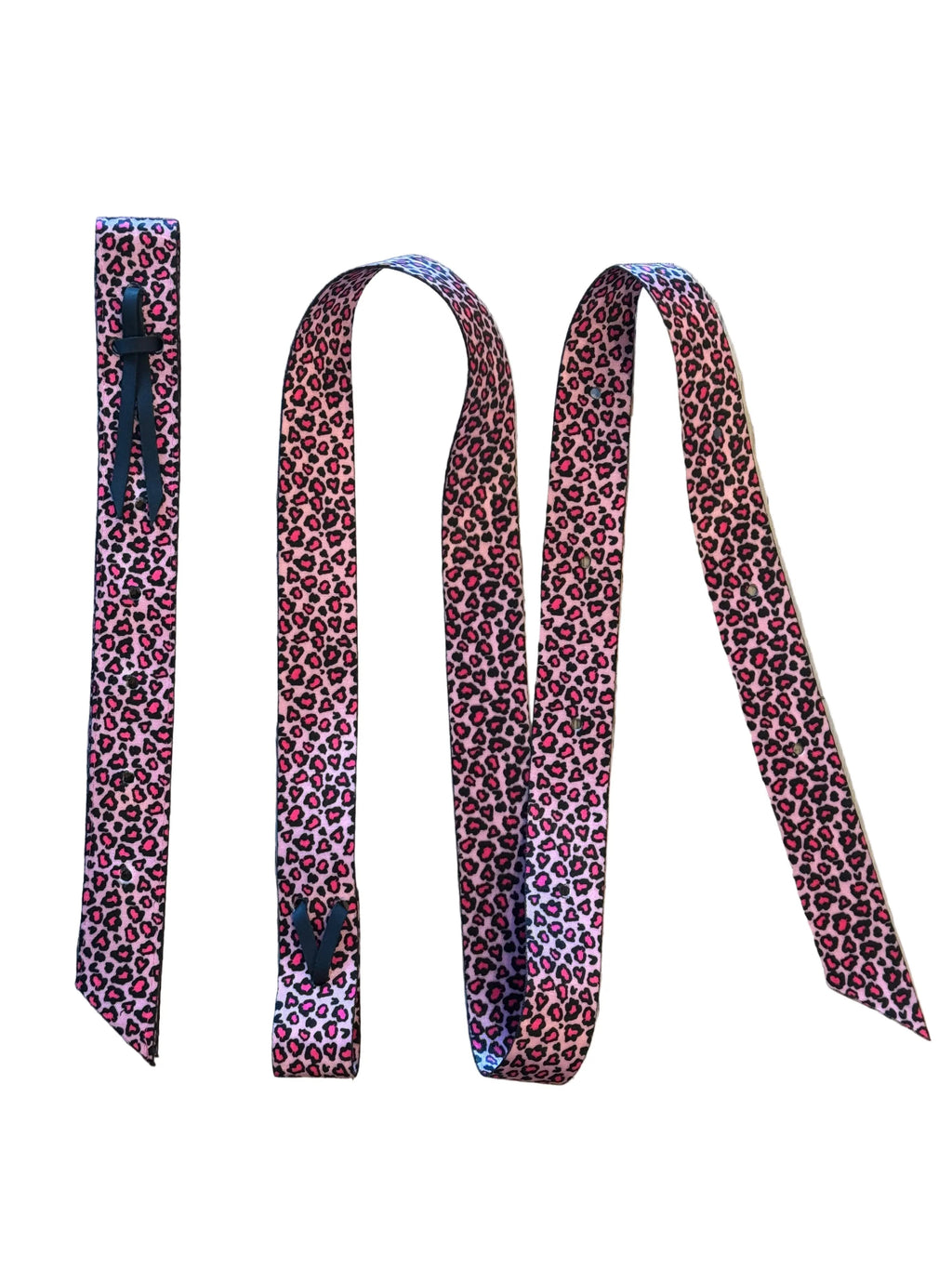 Catty Cowgirl Nylon Latigo and Off Billet Set